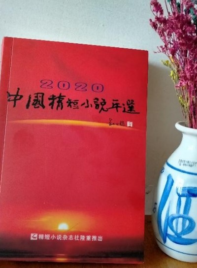 《2020中国精短小说年选》